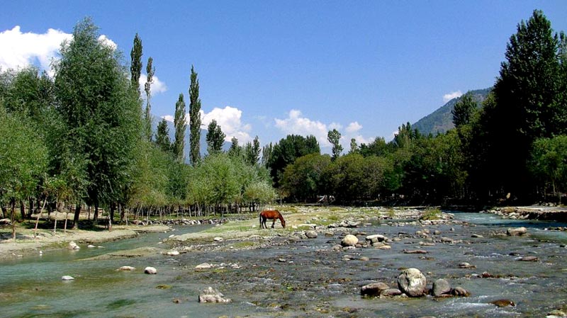 Kashmir:Paradise on Earth Tour