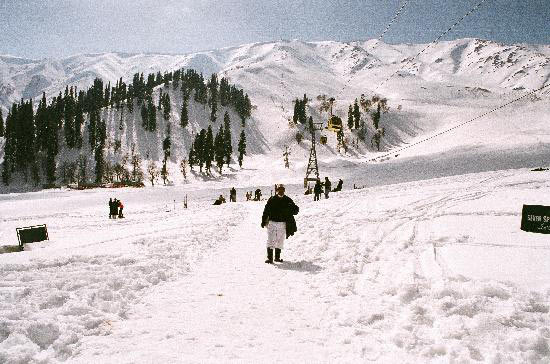 Srinagar Tour