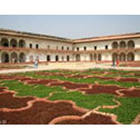 Rajasthan Tiger Tour