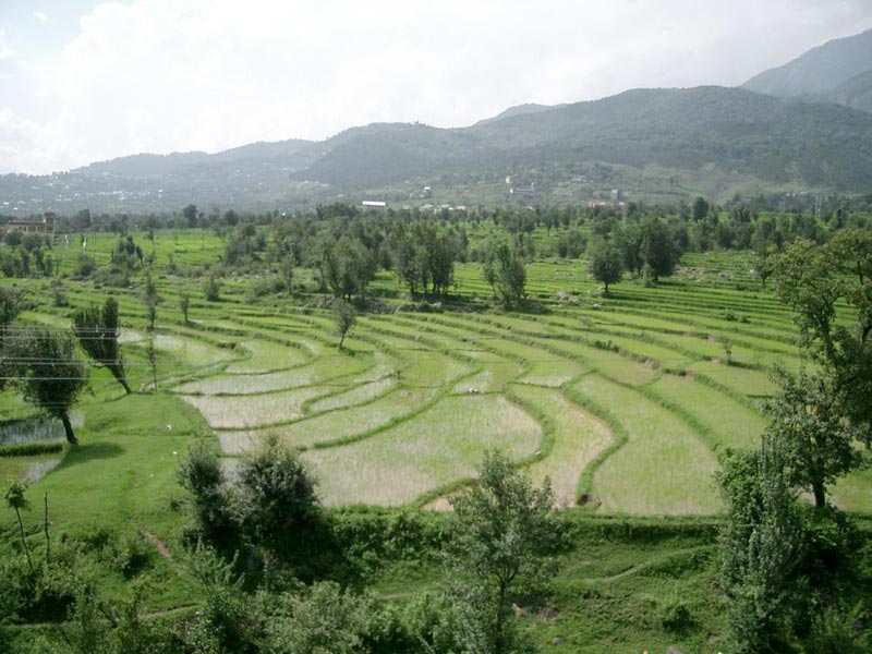 Himachal Heritage Tour