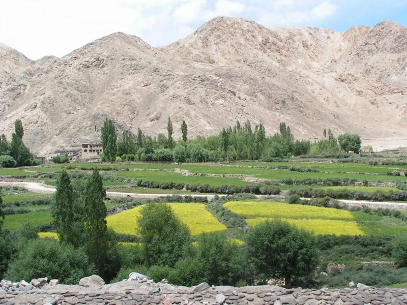 Manali - Leh -Srinagar Jeep Safari