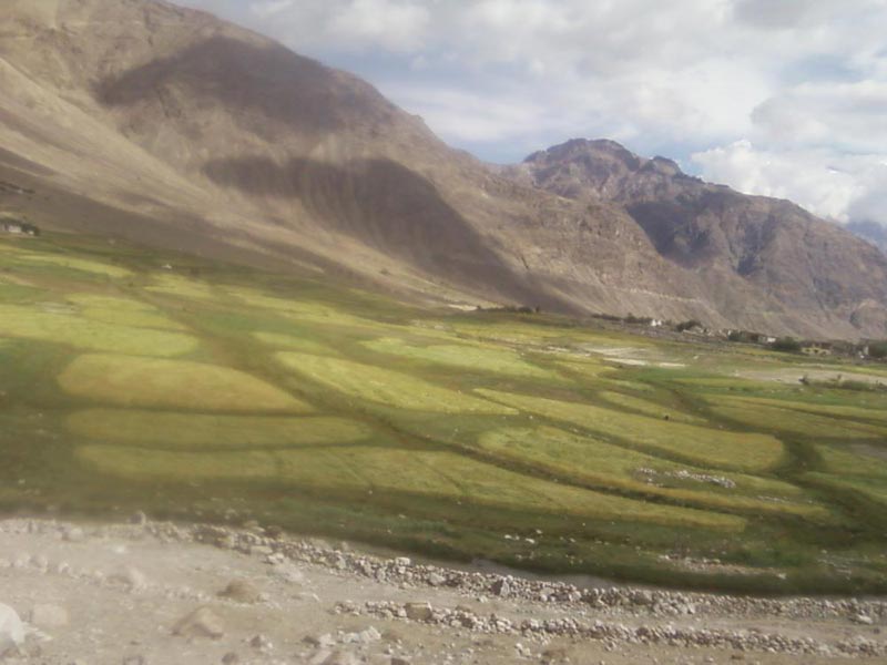 Glimpses Of Leh - Ladakh Tour