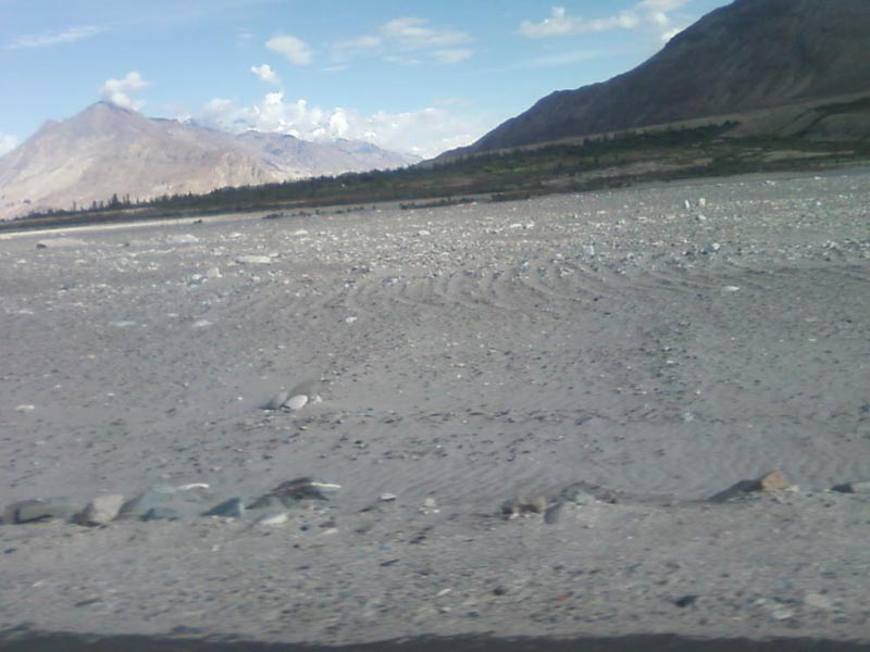 Glimpses of Leh - Ladakh Tour