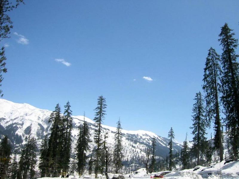 Manali Super Saver