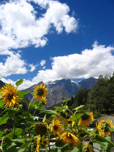 Lahaul Valley Jeep Safari