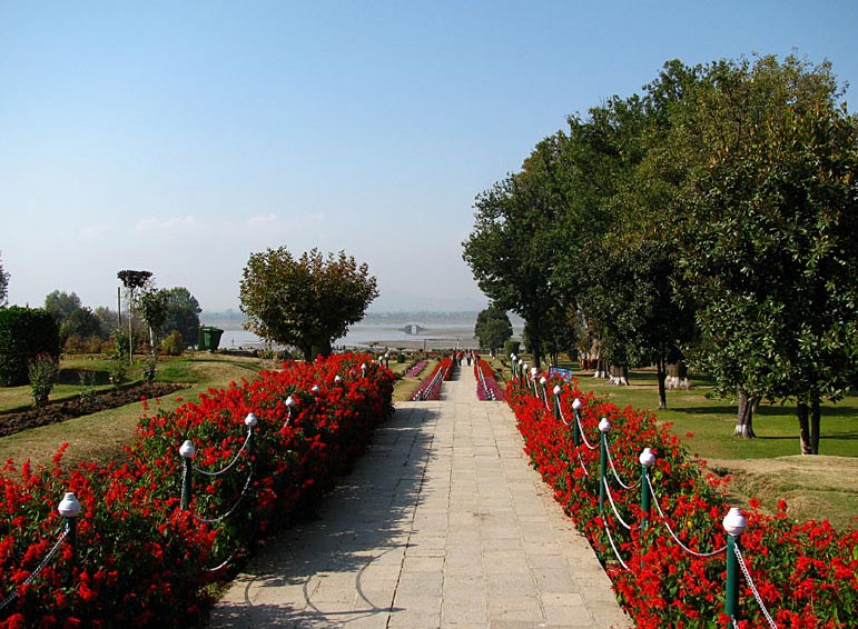 Honeymoon In Kashmir