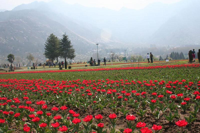 Maa Vaishno Devi and Kashmir Package