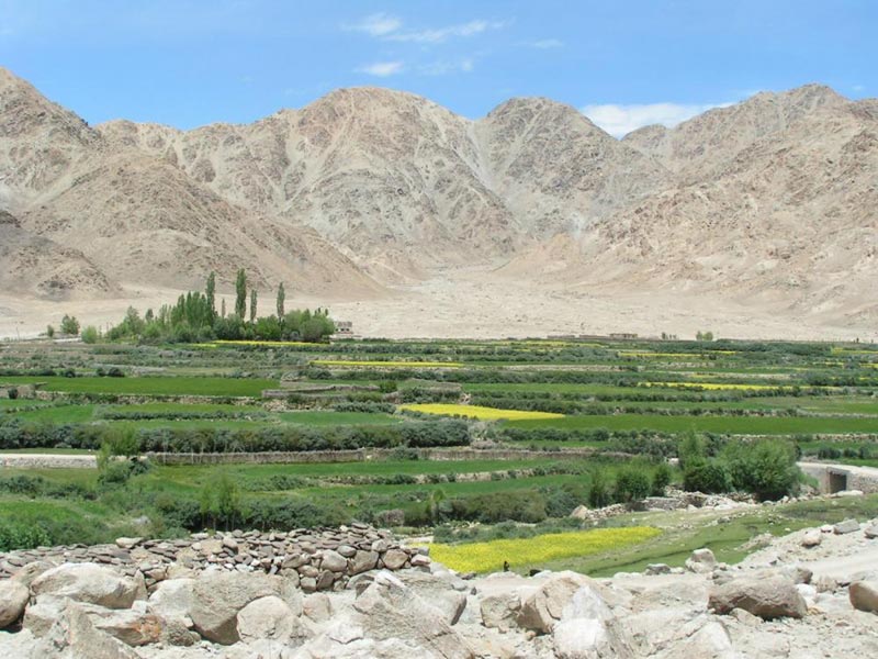 Tour to High Altitude Lakes in Ladakh