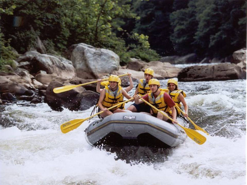 Kullu - Manali Honeymooner's Special Tour