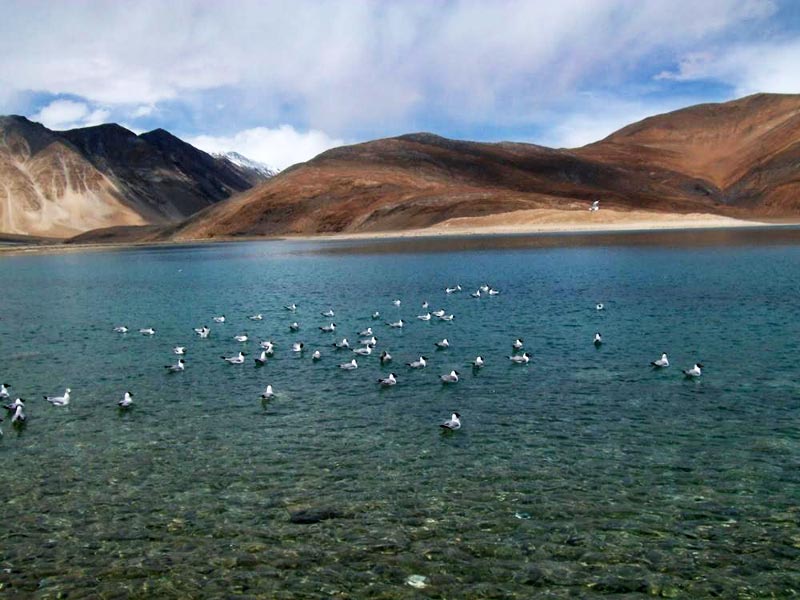 Tour to High Altitude Lakes in Ladakh