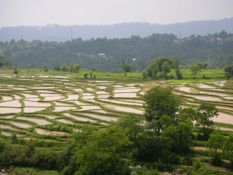 Western Himachal - Golden Temple Tour