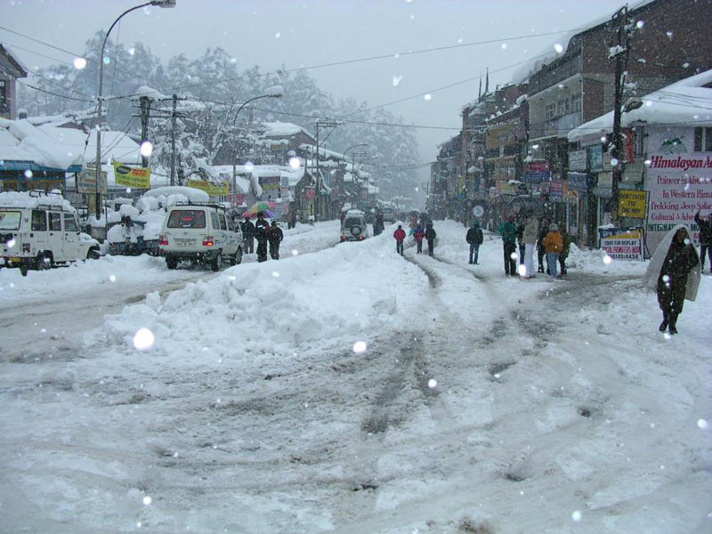 Student Group Package