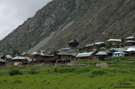 Classic Jeep Safari Tour