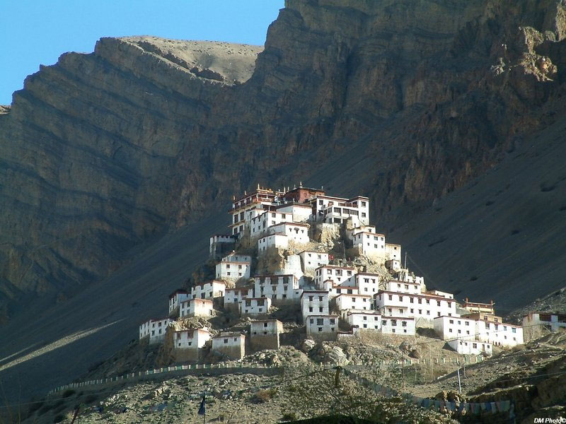 Classic Jeep Safari Tour