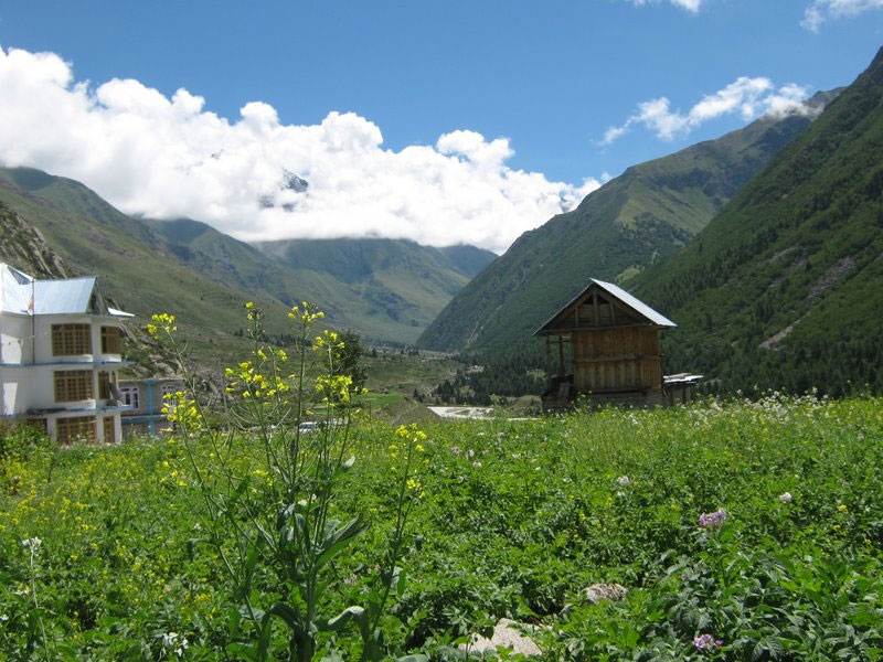 Classic Jeep Safari Tour