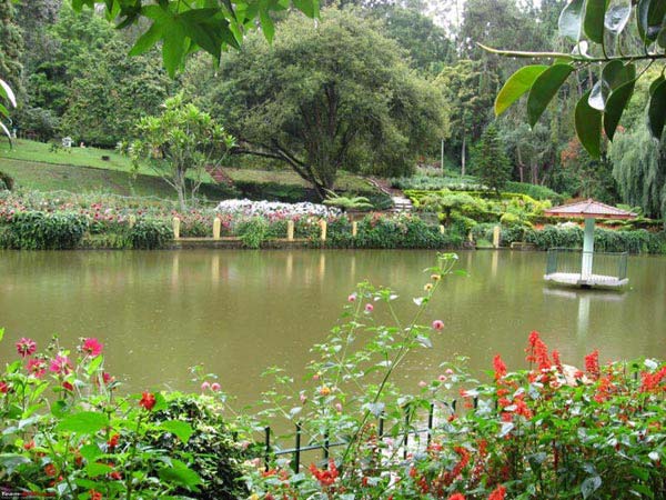 Bandipur And Ooty Tour