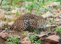 Short Escape to Kabini Tour