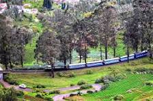 Bandipur And Ooty Tour