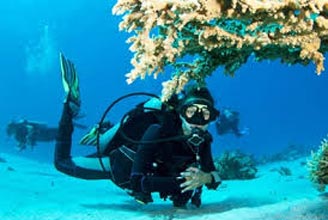 Mesmerising Andaman Tour 7N/8D