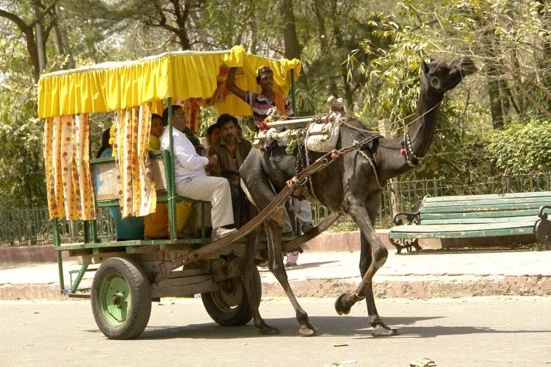 Agra Overnight Classic Tour