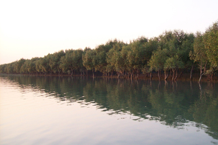 Sundarban Wildlife Package Tour