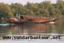 Sundarban Nature Package Tour