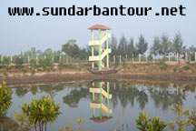 Sundarban Biosphere Package Tour 