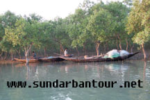 Sundarban Biosphere Package Tour 