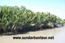 Sundarban World Heritage Package