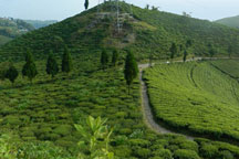 Nepal Package Tour 8 Days