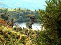 Darjeeling The Queen of Hills Package Tour - 9 Days