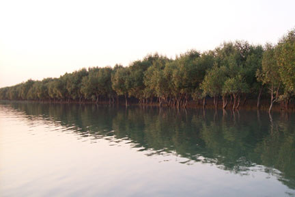 Puja Package Tour To Sundarban 2 in 1 of 2013