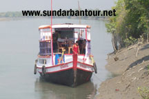 Kolkata - Shantiniketan - Murshidabad - Darjeeling - Kalimpong - Rishyop - Sundarban Wildlife Tour