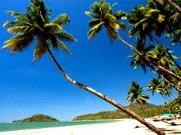 Unique Southern Culture with Goa