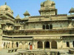 Tigers of The Central India With Golden Triangle