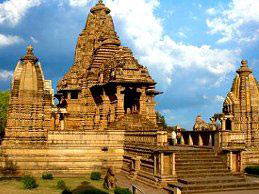 Tigers of The Central India With Golden Triangle