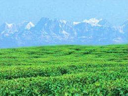 Experiencing India's Exotic East