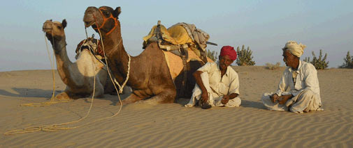 Desert Tour Of Rajasthan