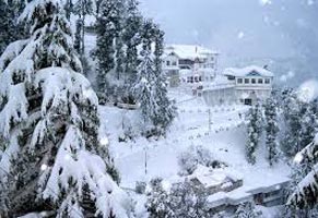 Delhi - Shimla Tour Image
