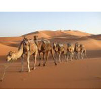 Amritsar - Dalhousie - Dharamshala - Kullu - Manali - Shimla