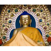 Amritsar - Katra - Dharamshala - Chamunda Ji - Jawalaji - Kangra Ji - Chintpurni Ji - Amritsar (Tour