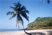Goa Beach Tour
