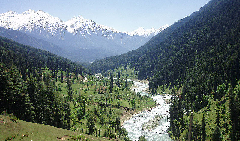 Kashmir Honeymoon Tour Package