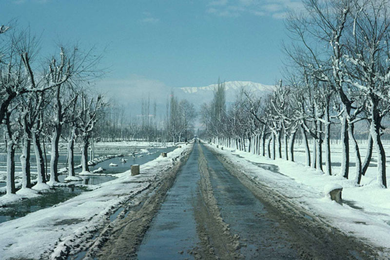 Honeymoon Tour Package for Srinagar - Gulmarg Image