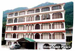 Hotel Ankit Palace, Manali Package