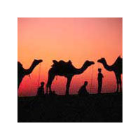 Delhi - Agra - Jaipur Tour