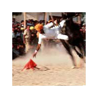 Delhi - Jaipur - Pushkar Tour