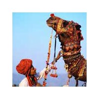 Delhi - Jaipur - Pushkar Tour