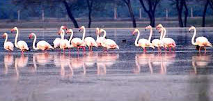 Golden Triangle with Bharatpur Bird Sanctuary - Wildlife Tour