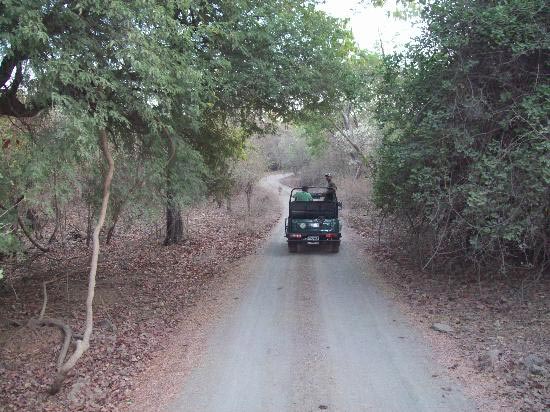 6 Days Kaziranga National Park Tour